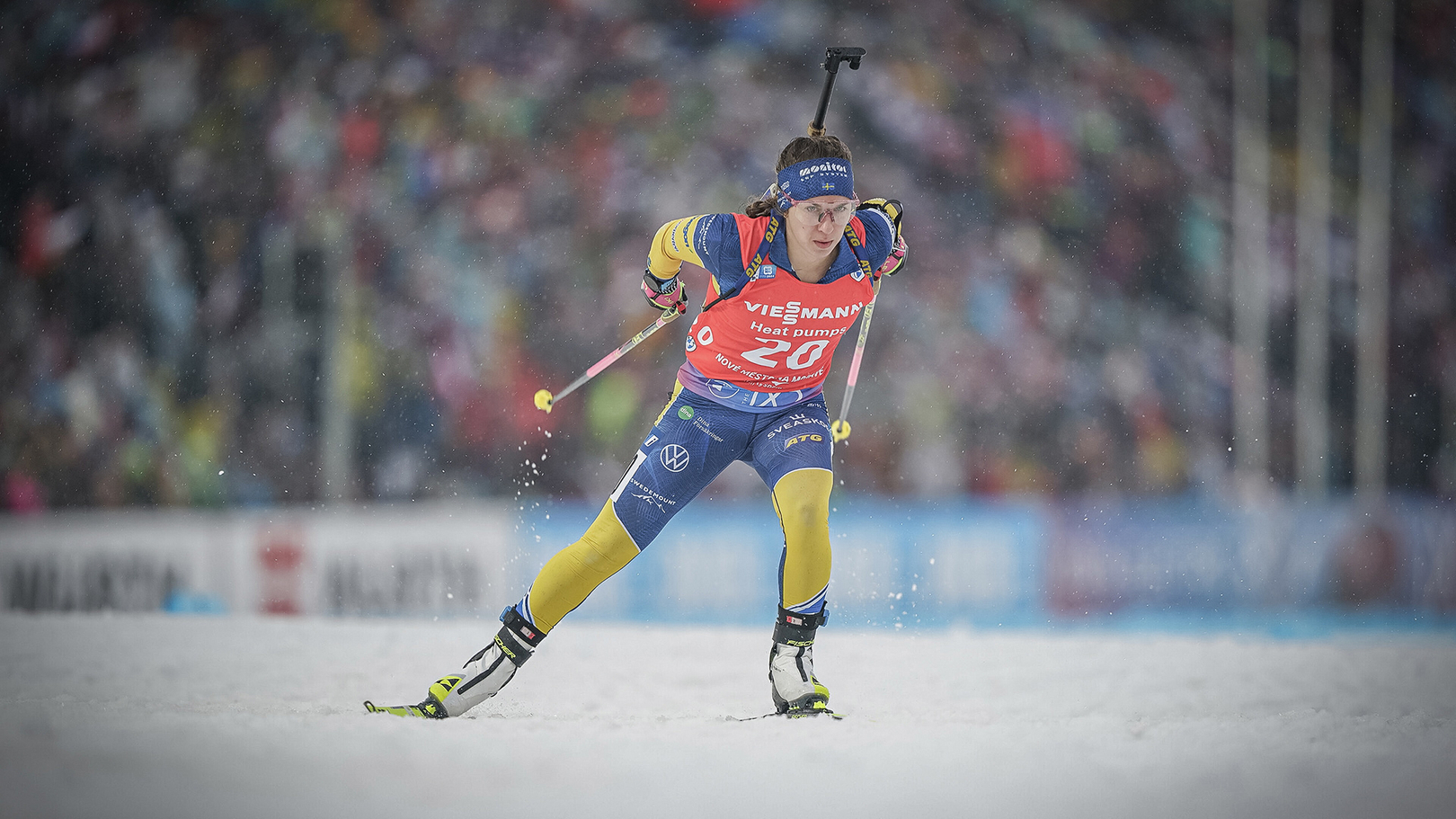 Magnusson110224cm26584_1