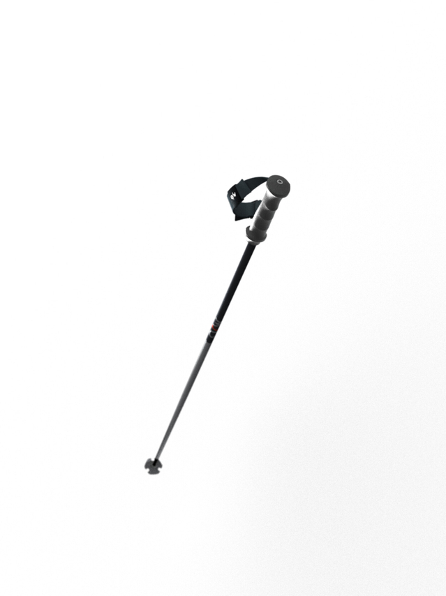 Ski poles | One Way Sport