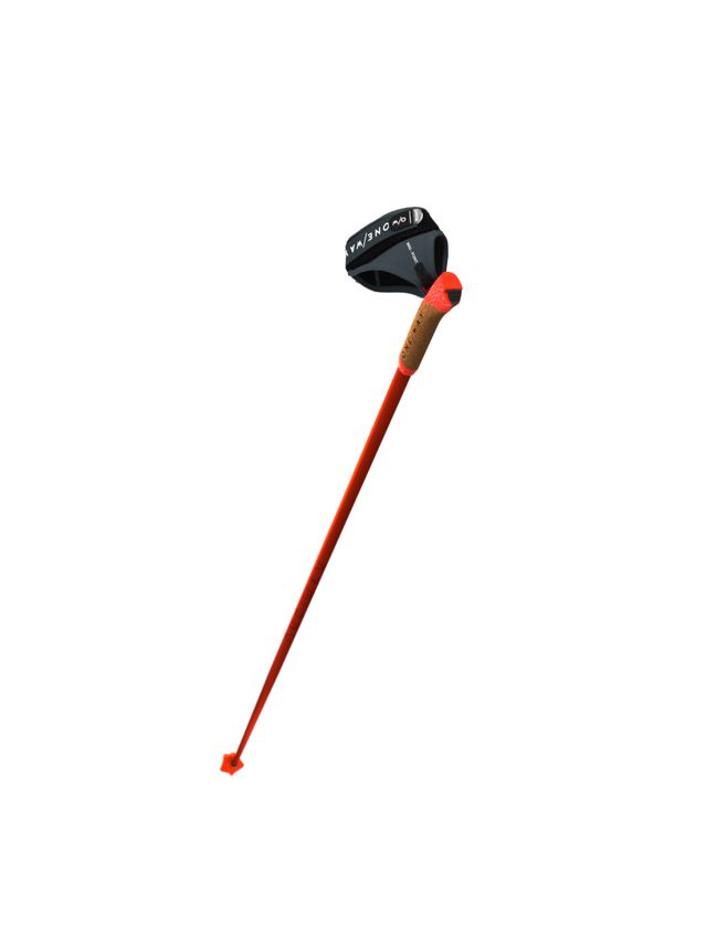 Bâtons De Ski De Fond Fischer OneWay Diamond Performance – 10% Carbone, 145 Cm