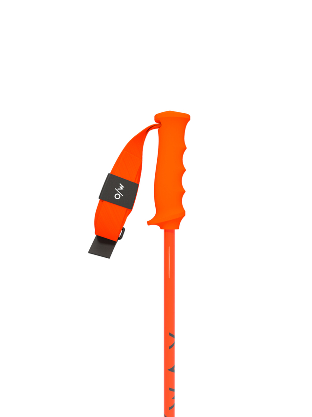 Ski poles | One Way Sport