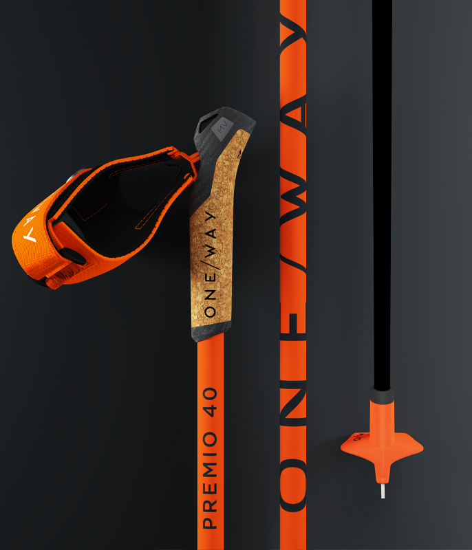 1-2_block_cw41_nordic-poles_686x800